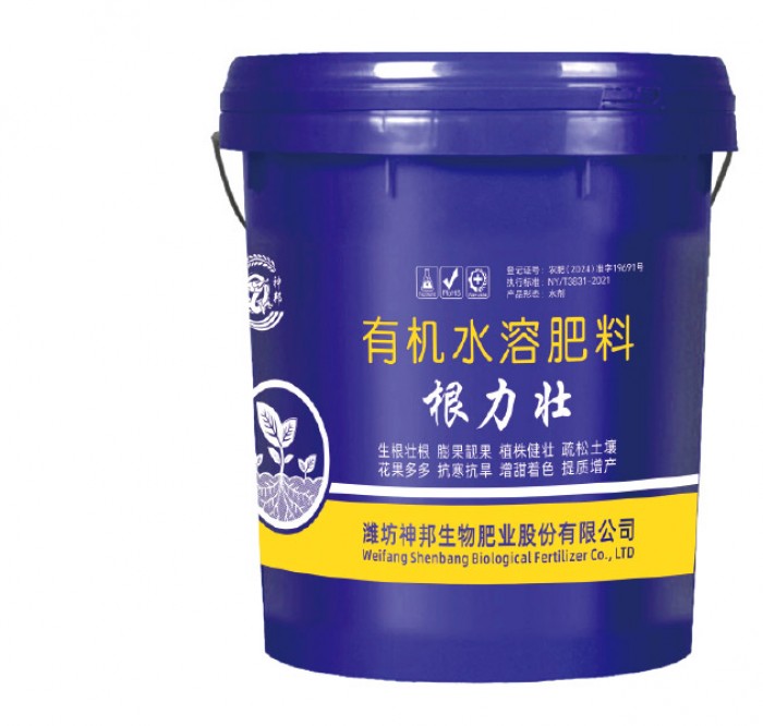根力壯